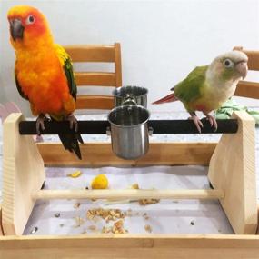 img 3 attached to 🦜 QBLEEV Parrot Play Wood Stand: Portable Table Playstand with Feeder Dish Cup - Ideal for Cockatiels, Conures, Parakeets, and Finch