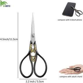 img 3 attached to Vintage European Style Stainless Steel Scissors - BIHRTC 4.33 Inches, Perfect for Needlework, Embroidery, Sewing, Craft, Art Work & Everyday Use, Auspicious Clouds Design (Black)