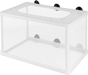 img 4 attached to POPETPOP Fish Breeder Net Box for Aquarium - Large Fish Isolation Breeding Hatching Nursery Net - Durable and Easy to Install in Fish Tank