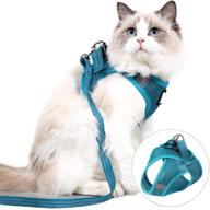 premium cat harness and leash set in turquoise for effortless walking - lightweight, escape-proof kitten vest with soft fit for cats, puppies, and rabbits. easy control! logo