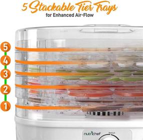 img 2 attached to 🍎 PKFD06 White Food Dehydrator Machine - Professional Electric Multi-Tier Food Preserver, Meat/Jerky Maker, Fruit & Vegetable Dryer with 5 Stackable Trays, High-Heat Circulation