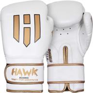 🥊 hawk boxing gloves: premium men & women training pro punching heavy bag mitts for mma, muay thai, sparring, and kickboxing logo