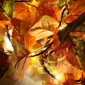 img 1 attached to 🍁 CCINEE Maple Leaf String Lights - Fall Hanging Garland Autumn Decor for Halloween, Thanksgiving, and Fall Party Decoration - Pack of 2