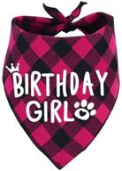 🎉 celebrate with style: birthday girl dog bandana logo