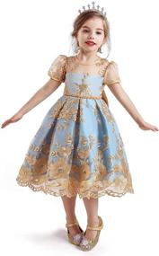 img 4 attached to 👗 Sparkling TTYAOVO Embroidered Backless Princess Birthday Girls' Clothing: Captivating Dresses for a Perfect Celebration!