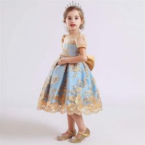 img 2 attached to 👗 Sparkling TTYAOVO Embroidered Backless Princess Birthday Girls' Clothing: Captivating Dresses for a Perfect Celebration!