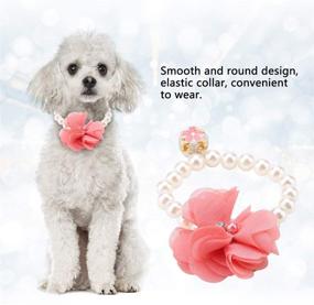 img 1 attached to Stylish Pearl Flower Collar for Dogs and Cats - 🌸 Adjustable, Elastic Pet Necklace Accessory for Theme Parties, Costumes, and Jewelry