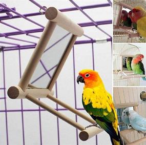 img 2 attached to 🐦 ZMGMSMH Bird Toy for Cage - Hanging Parrot Swing with Mirror, Natural Wooden Play Toys - Pet Bird Cage Accessories with Metal Hook