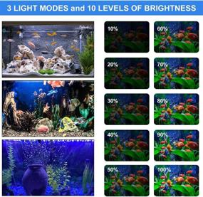 img 2 attached to 🐠 Enhance Your Aquatic Paradise: Submersible LED Aquarium Light with Dimmable White & Blue Modes, Timer, and Loop Function - 10 Brightness Levels, 18 LEDs - 7.5''