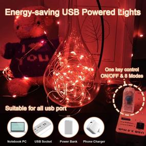 img 1 attached to 🔌 16.4Ft Plug-in Red USB Fairy Lights, 50 LED String Lights for Bedroom, Waterproof Twinkle Lights with 8 Modes - Christmas Indoor Decorations, Tree Wreath Craft, Wedding Party, Diwali Lights - Dorm Room Decor