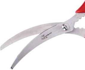 img 2 attached to 🔪 Luciano Housewares 8.6-inch Red Stainless-Steel Seafood Scissors: Top-Notch for Perfect Finishes!