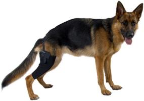 img 2 attached to 🐶 Enhance Your Dog's Mobility with Kruuse Rehab Knee Protector