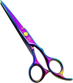 img 4 attached to Premium 6-inch Hair Cutting Shears for Barber Professionals - Razor Sharp Blades, Stylish 🌈 Rainbow Color & Durable 420c Stainless Steel - Perfect Haircuts for Women, Men & Kids (A)