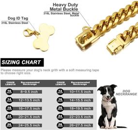 img 2 attached to 🐕 W/W Lifetime Gold Dog Chain Collar: Secure Buckle, 18K Cuban Link, Chew-Proof Heavy Duty for Medium to Large Dogs - Pitbulls, German Shepherds