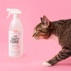 img 2 attached to 🐱 Skout’s Honor: Urine and Odor Destroyer - Powerful All-Natural Stain and Odor Remover for Cat Urine, Vomit, Hairballs, and Marking Scents