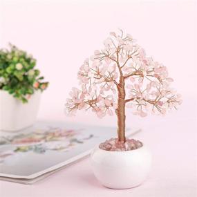 img 3 attached to Enhance Prosperity at Home with MANIFO Natural Rose Quartz Healing Crystal Tree: Feng Shui Figurine for Good Luck and Wealthy Home Decoration