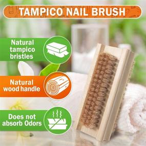 img 3 attached to Premium Konex Non-Slip Wooden Hand and Nail Brush | Dual-sided with Tampico Bristles: The Ultimate Tool for Effective Cleaning