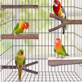 img 4 attached to KATUMO 5 Pack Natural Wooden Bird Perches with Branches, Fork Toys & Stand Platform for Parakeets, Conures, Cockatiels, Budgies, Lovebirds, Finches, and Amazon Parrots - Bird Cage Accessories