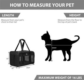 img 2 attached to 🐾 Airline Approved X-ZONE PET Cat Carrier Dog Carrier for Small Medium Cats Dogs Puppies up to 15 lbs - Soft Sided Pet Travel Carrier in Black, Grey, Purple, Blue, and Brown