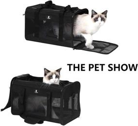 img 1 attached to 🐾 Airline Approved X-ZONE PET Cat Carrier Dog Carrier for Small Medium Cats Dogs Puppies up to 15 lbs - Soft Sided Pet Travel Carrier in Black, Grey, Purple, Blue, and Brown