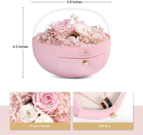 img 3 attached to 🌹 Deluxe Preserved Rose Flower Box: Prime Birthday Gift for Women, Heart Boxes for Lasting Pink Roses, Packaged in Luxury Jewelry Gift Box for Valentines Day