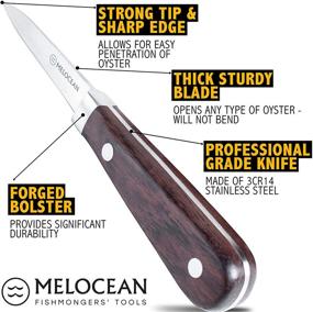 img 3 attached to 🦪 Premium Oyster Shucking Knife Set of 2 - Expert Oyster Knife Shucker Clam Opener Kit in Elegant Gift Box - Includes Bonus Ebook and Brochure!