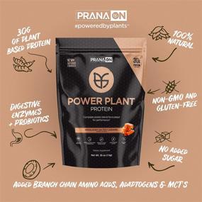 img 3 attached to PranaON Plant Based Protein Powder Sports Nutrition