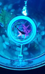 img 1 attached to Soohu Floating Aquarium Suitable Goldfish