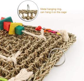 img 1 attached to 🐦 HOSUKKO Bird Foraging Wall Activity Toy - Sea Grass Climbing Net for Birds & Parrots, Hanging Foraging Wall Toy - 14.2" x 11.8