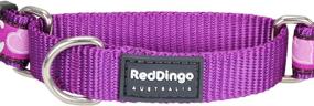 img 1 attached to Red Dingo Designer Martingale Collar Dogs