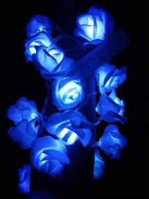 img 4 attached to 🌹 Fantasee LED Rose Flower String Lights - Stunning Blue Decorations for Wedding, Proposal, and Home Parties