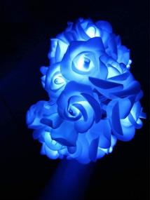 img 1 attached to 🌹 Fantasee LED Rose Flower String Lights - Stunning Blue Decorations for Wedding, Proposal, and Home Parties