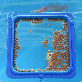 img 1 attached to Feeding Aquarium Floating Suitable Goldfish