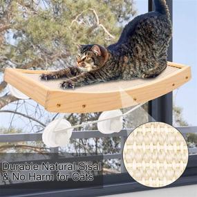 img 2 attached to 🐱 Angela & Alex Cat Perch Window Hammock Seat with Strong Suction Cups - Cat Bed with Natural Sisal Iron Bracket, Holds up to 30 lbs - Improved 2021 Version