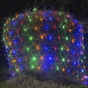 img 2 attached to 🎄 Vanthylit 200LED Christmas Net Mesh Lights - 6.5FT x 5FT Warm White and Multicolor String Light, 2 Color Clear Wire with 9 Modes - Perfect for Xmas Trees, Bushes, Garden, Indoor & Outdoor Decor