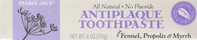 img 4 attached to Trader Joe's All Natural No Fluoride Antiplaque Toothpaste - Pack of 2: A Natural Dental Solution