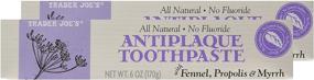 img 1 attached to Trader Joe's All Natural No Fluoride Antiplaque Toothpaste - Pack of 2: A Natural Dental Solution