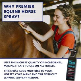 img 2 attached to 🐴 Enhanced Eqyss Premier Moisturizing Spray for Equine Coats, Manes, and Tails