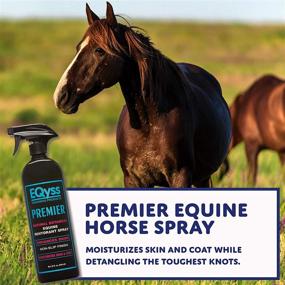 img 3 attached to 🐴 Enhanced Eqyss Premier Moisturizing Spray for Equine Coats, Manes, and Tails
