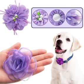 img 1 attached to 🎀 PET SHOW 12pcs Dog Collar Bows and Flowers Attachment: Elegant Embellishments for Small & Medium Female Pets' Collars - Perfect for Wedding, Birthday Parties, and Grooming - Pet Collar Accessories for Girls, Puppies & Cats