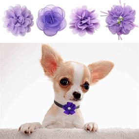 img 3 attached to 🎀 PET SHOW 12pcs Dog Collar Bows and Flowers Attachment: Elegant Embellishments for Small & Medium Female Pets' Collars - Perfect for Wedding, Birthday Parties, and Grooming - Pet Collar Accessories for Girls, Puppies & Cats