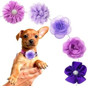 img 2 attached to 🎀 PET SHOW 12pcs Dog Collar Bows and Flowers Attachment: Elegant Embellishments for Small & Medium Female Pets' Collars - Perfect for Wedding, Birthday Parties, and Grooming - Pet Collar Accessories for Girls, Puppies & Cats