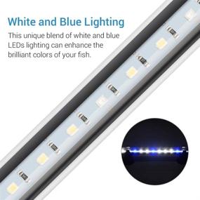 img 2 attached to Enhance Your Fish Tank with NICREW Submersible LED Aquarium Light: Hidden White and Blue Light Stick, 13.8-inch, 8 W