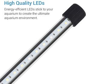 img 3 attached to Enhance Your Fish Tank with NICREW Submersible LED Aquarium Light: Hidden White and Blue Light Stick, 13.8-inch, 8 W