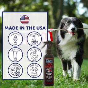 img 1 attached to Eqyss Chew Proof It Spray (8oz) – Effective Solution to Prevent Pet Chewing Habits