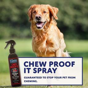 img 3 attached to Eqyss Chew Proof It Spray (8oz) – Effective Solution to Prevent Pet Chewing Habits