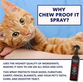 img 2 attached to Eqyss Chew Proof It Spray (8oz) – Effective Solution to Prevent Pet Chewing Habits