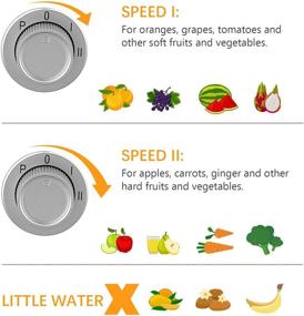 img 2 attached to Extractor Homeleader Centrifugal Vegetables BPA Free