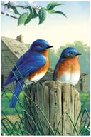 🌿 environmentally friendly tree-free greetings econotes blank note cards – set of 12 morning bluebirds stationery with matching envelopes logo