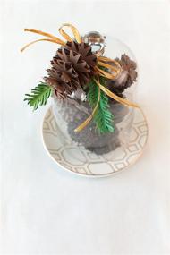 img 1 attached to 🏡 Cricut 3D Floral Home Decor Cartridge: Enhance Your Home Décor with Stunning Decorative Designs